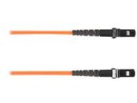 Black Box - Patch cable