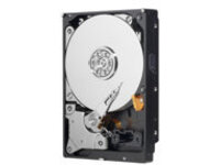 WD AV-GP WD5000AVCS - Hard drive