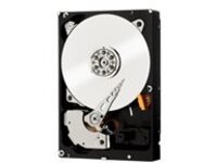 WD RE WD3000FYYZ - Hard drive