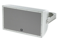 JBL AE Series AW295 - Speaker
