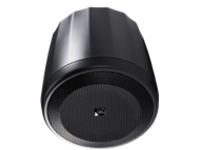 JBL Professional Control Contractor 60 Series 62P