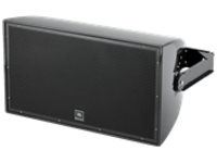 JBL AE Series AW295 - Speaker
