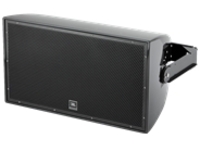 JBL AE Series AW295 - Speaker