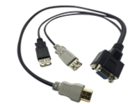 Lantronix - Display cable