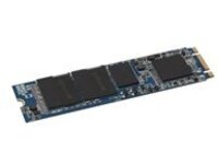 Dell - Solid state drive