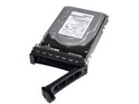 Dell - Hard drive - 6 TB