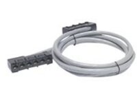 APC - Network cable - TAA Compliant