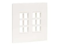Tripp Lite 12-Port Double-Gang Universal Keystone Wall Plate, Cat5e/6/6a, USB, HDMI, DisplayPort, White, TAA
