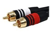 Monoprice Premium - Audio cable