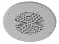 Valcom VIP-120A-SA - IP speaker