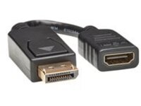 Tripp Lite 6in DisplayPort to HDMI Adapter Converter DP to HDMI M/F 6&quot;