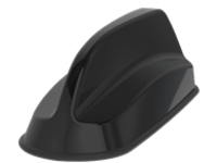 Panorama Sharkee - Antenna
