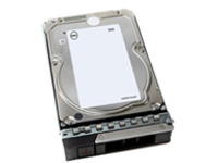 Dell - Hard drive - 4 TB