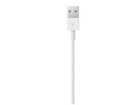 Apple - Lightning cable