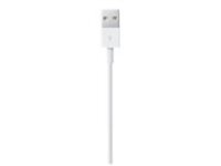 Apple - Lightning cable