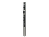 APC PowerStruXure - Power distribution strip (rack-mountable)