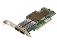 Broadcom NetXtreme E-Series P2100G