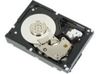 Dell - Hard drive - 300 GB