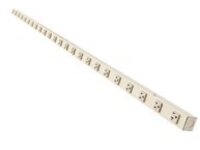 Tripp Lite Power Strip 120V 2 5-15/20R; 22 5-15R Hardwire Vertical Metal 0U