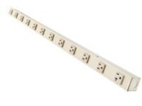 Tripp Lite Power Strip 120V 2 5-15/20R; 10 5-15R Hardwire Vertical Metal 0U