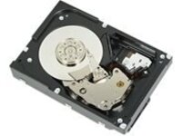 Dell - Hard drive - 6 TB