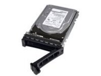 Dell Nearline - Hard drive
