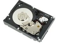 DELL 1TB 3.5-IN LFF SAS 6GBS 7.2K RPM 512N NL H-P HDD