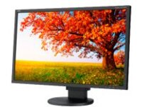 NEC MultiSync EA224WMi-BK