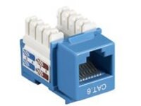 Black Box Value Line CAT6
