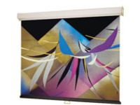 Draper Luma - Projection screen
