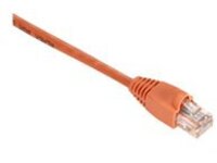 Black Box GigaTrue - Patch cable