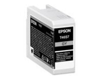 Epson T46S7 - 25 ml - gray