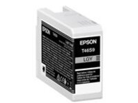 Epson UltraChrome Pro T46S9