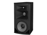 JBL Professional AE (Application Engineered) Series AM7315/95