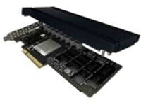Dell Express Flash - SSD