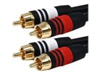 Monoprice Premium - Audio cable