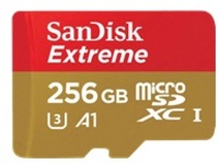 256GB MICRO SD CARD NOTCOMPATIBLE WITH HMT-1Z1