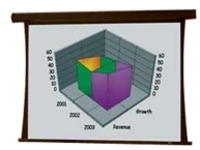 Draper Premier - Projection screen