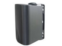 C2G 4in Wall Mount Speaker
