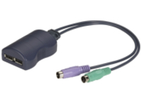 Black Box USB to PS/2 Converter