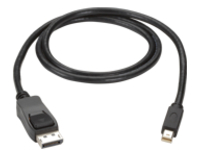 Black Box - DisplayPort cable