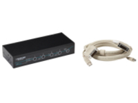 Black Box ServSwitch DT