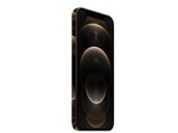 Apple iPhone 12 Pro - 5G smartphone | Overview, Specs, Details | SHI