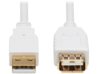 Eaton Tripp Lite Series Safe-IT USB 2.0 Antibacterial Extension Cable (A M/F), USB 2.0, White, 6 ft. (1.83 m)