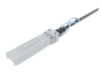 Panduit - 25GBase direct attach cable