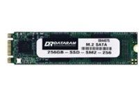 Dataram SSDM2-SATA - SSD