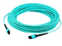 AddOn - Patch cable - MPO/PC multi-mode (F) to MPO/PC multi-mode (F)