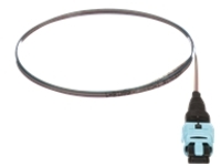 Panduit QuickNet PanMPO/MPO Ribbon Pigtail Assembly