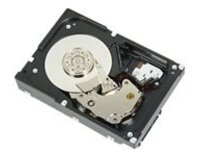 Dell - Hard drive - 300 GB