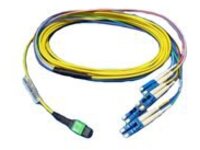 Dell 40GbE - Network cable